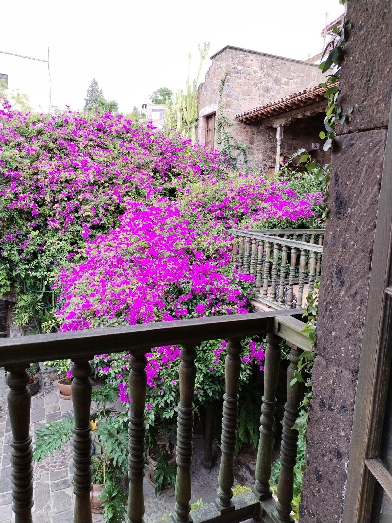 Hacienda Las Amantes 圣米格尔－德阿连德 外观 照片